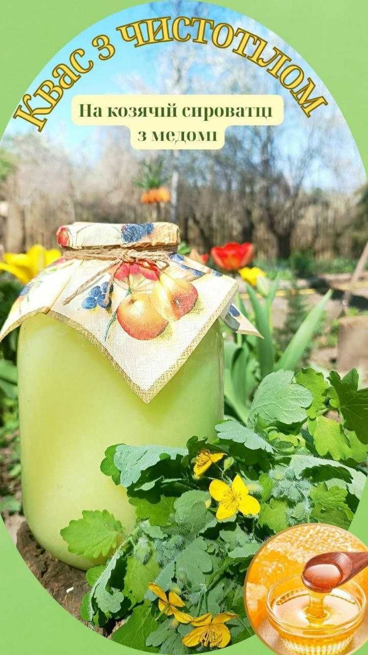 КВАС БОЛОТОВА (на чистотілі )