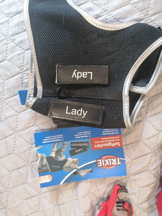 Szelki dla kota Trixie XL ze smyczą