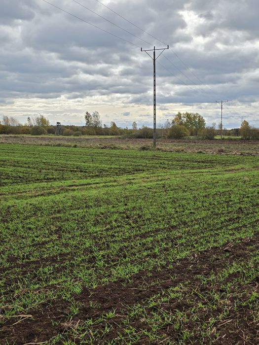 Działki orne uprawne