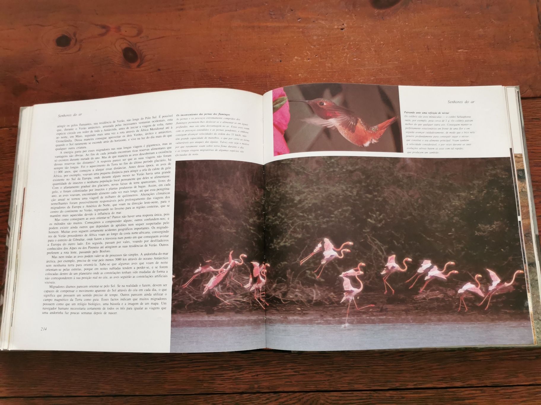 A Vida na Terra - David Attenborough (Selecções do Readers Digest)