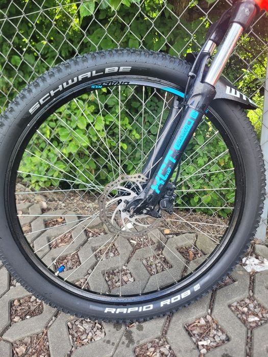 rower kellys whip 10