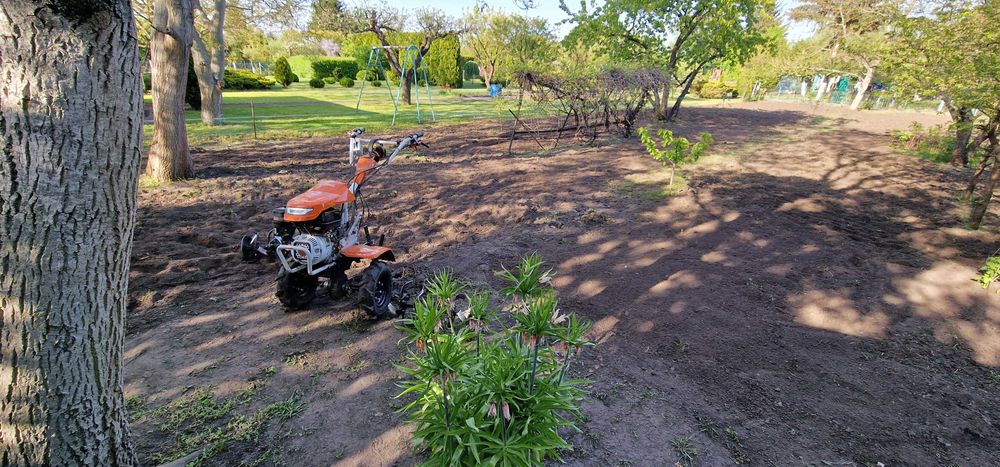 Koszenie trawy usługi ogrodowe Inowrocław i okolice