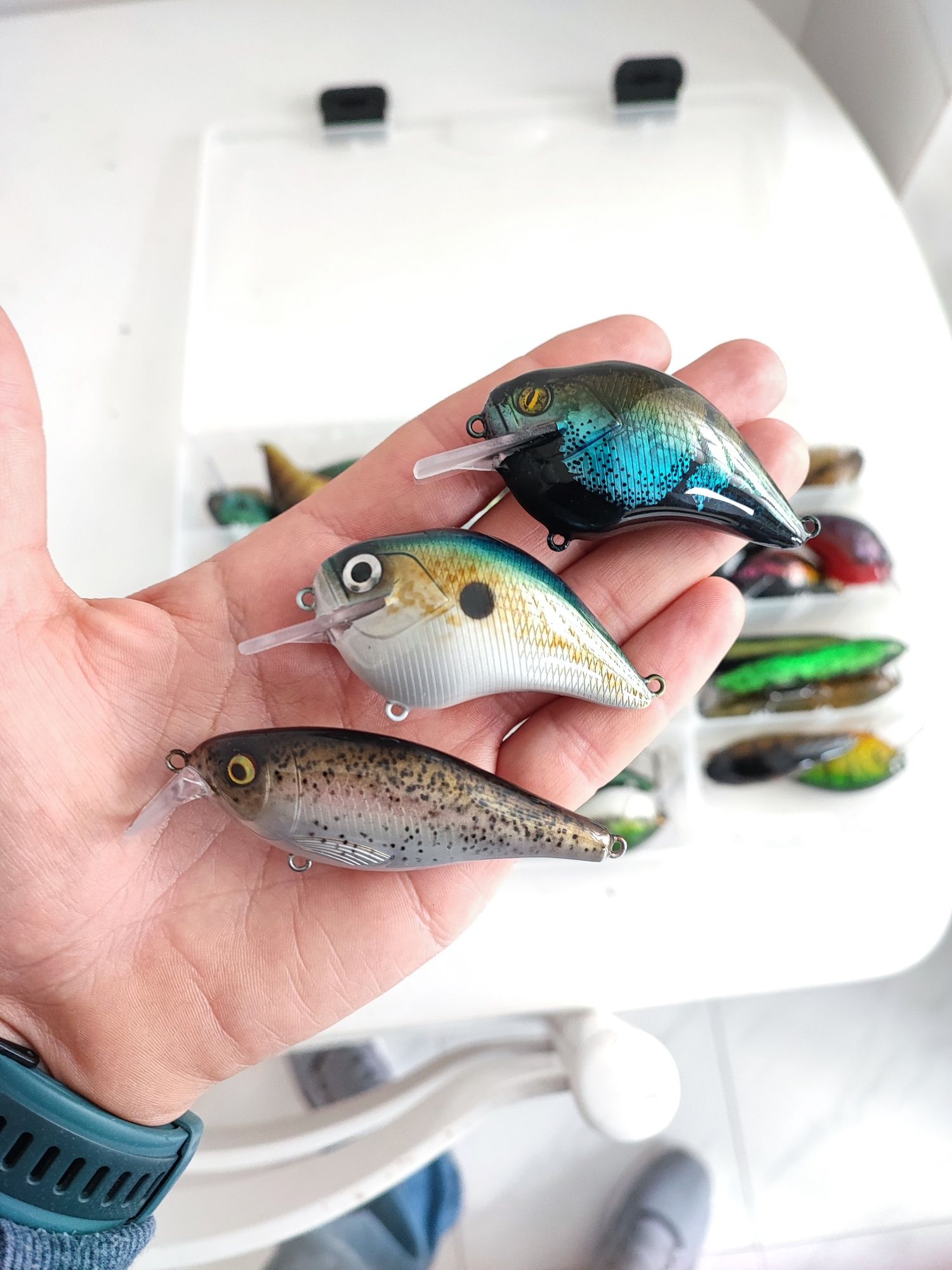 Amostras de pesca