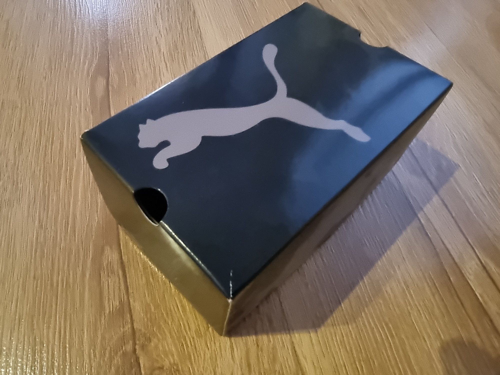 Zegarek męski PUMA
