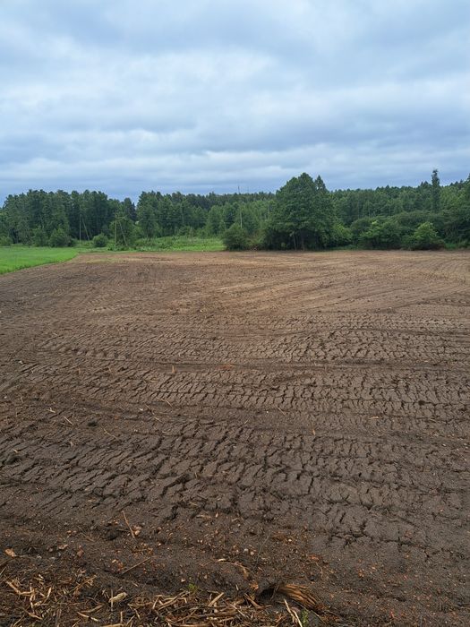 Wycinka ,czyszczenie,mulczer