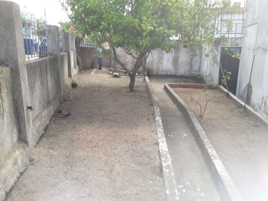 Fazemos limpezas de terrenos