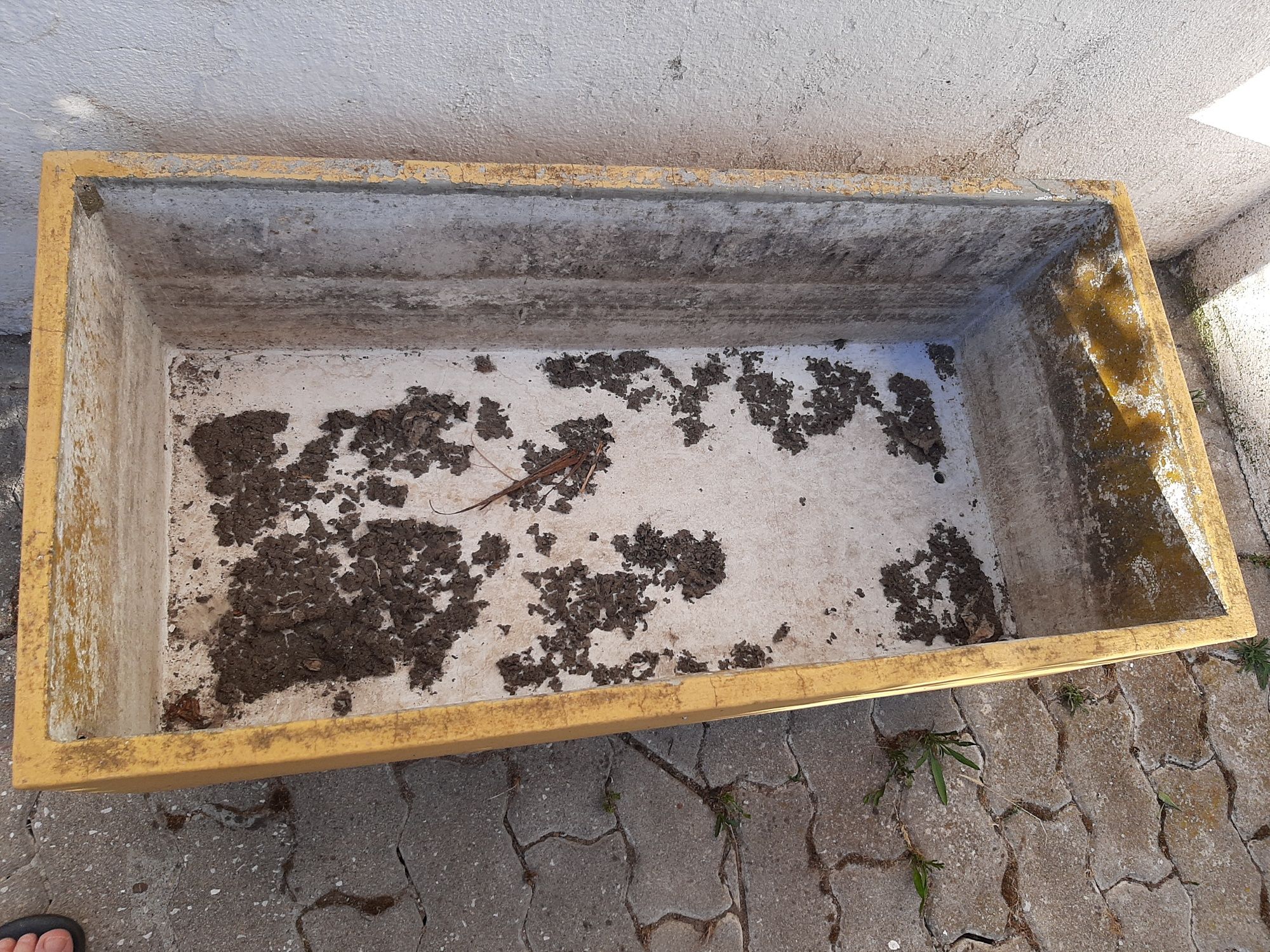 Salgadeira, vaso ou floreira