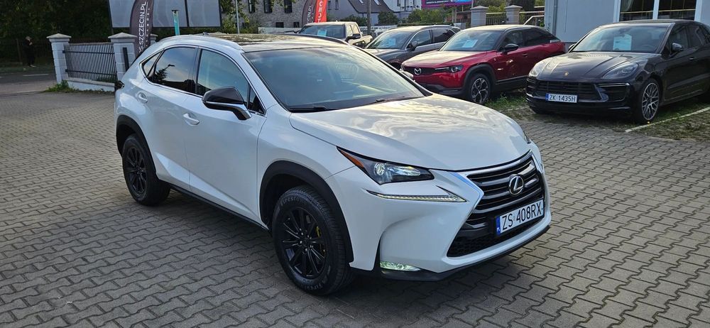 Lexus NX Salon Polska! Perła metalik! AWD! Led! Kamera!
