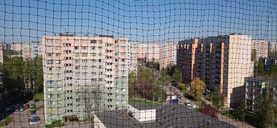 Siatka na balkon, okno, zabezpieczenie dla kota, ochrona przed ptakami