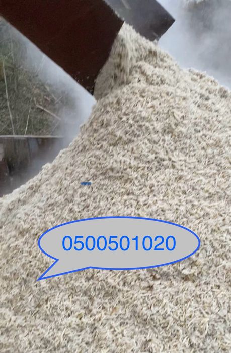 Свіжий Жом 2025 року