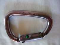 Karabinek wspinaczkowy PETZL William Ball-Lock