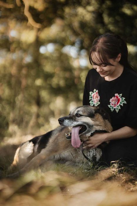 Hagi duży puchaty misiek czeka na dom ADOPCJA