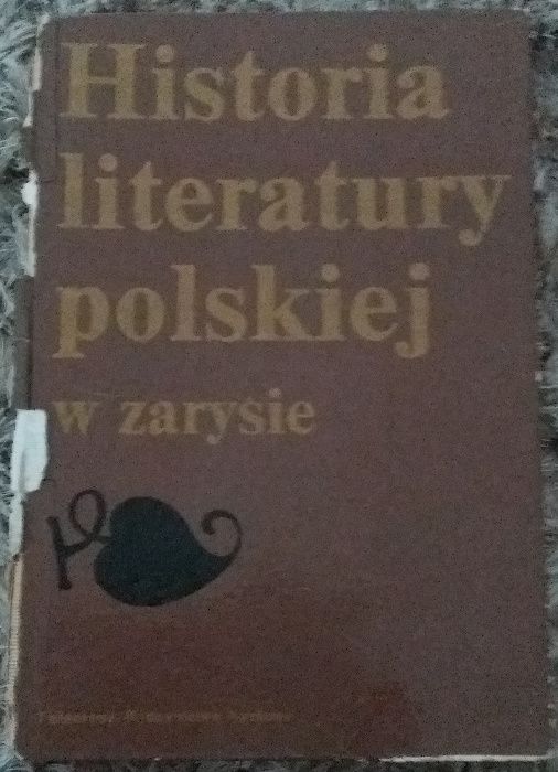 Historia literatury polskiej w zarysie, pod red. Stępnia i Wilkonia