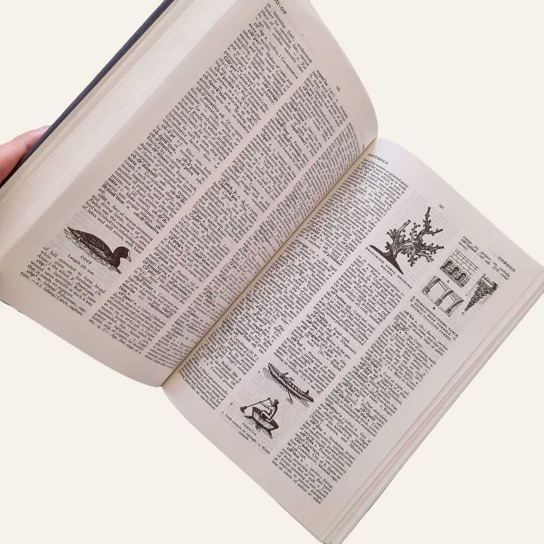 The English Illustrated Dictionary