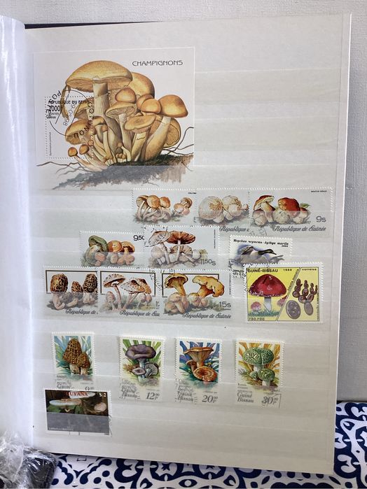 Album de selos formato A 4. Tematicos. (Cogumelos).