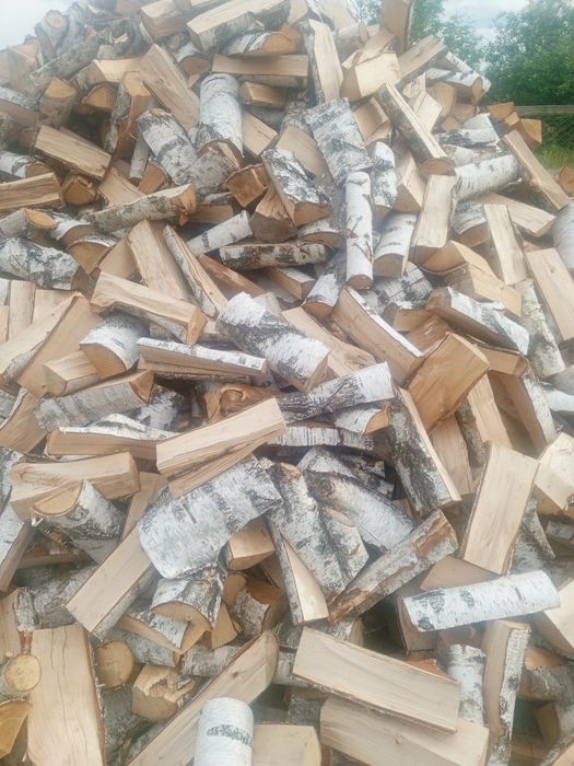Продам дрова різних порід з  адекватною ціною