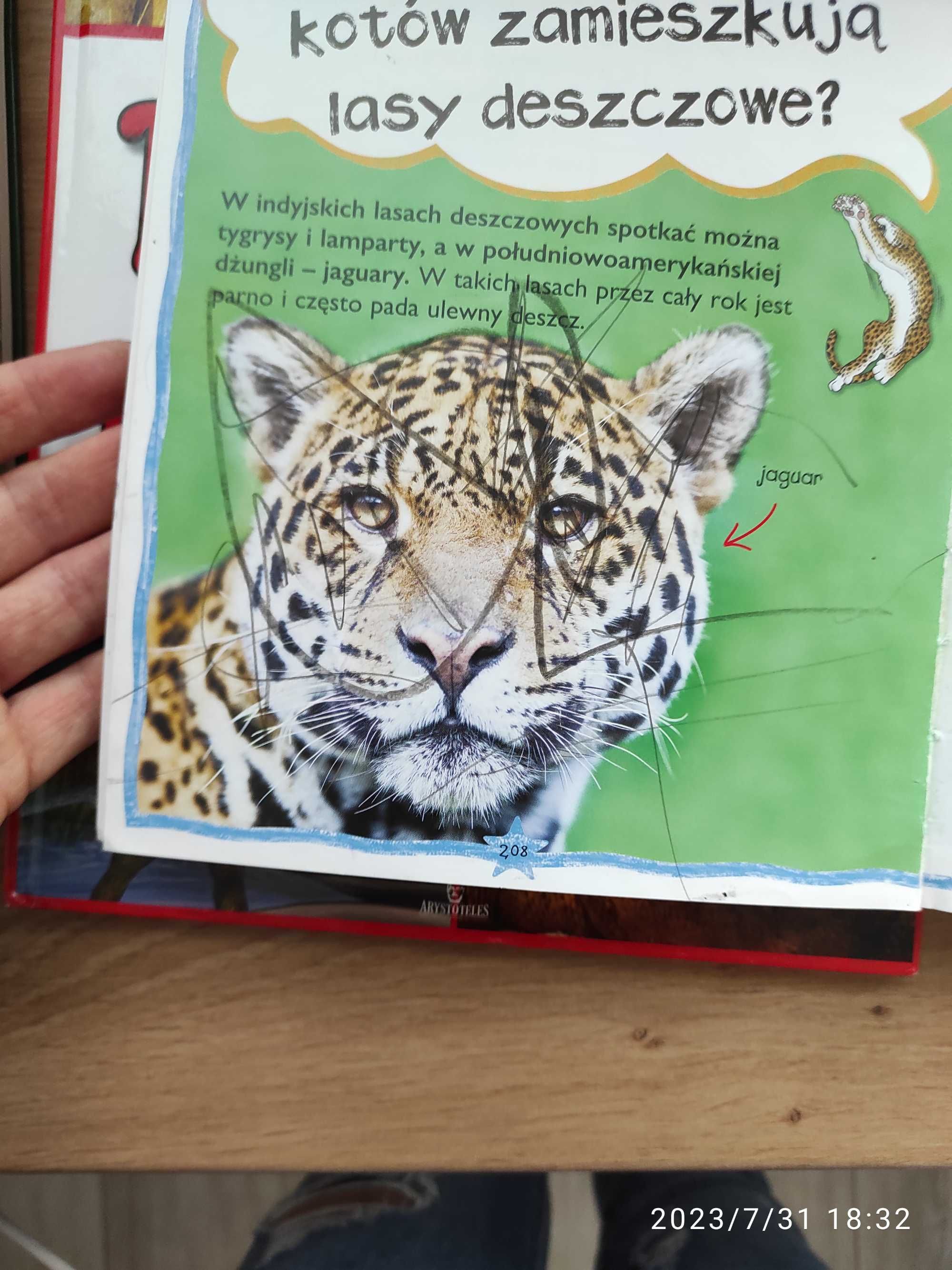 Zestaw książek dla dzieci, Zwierzęta