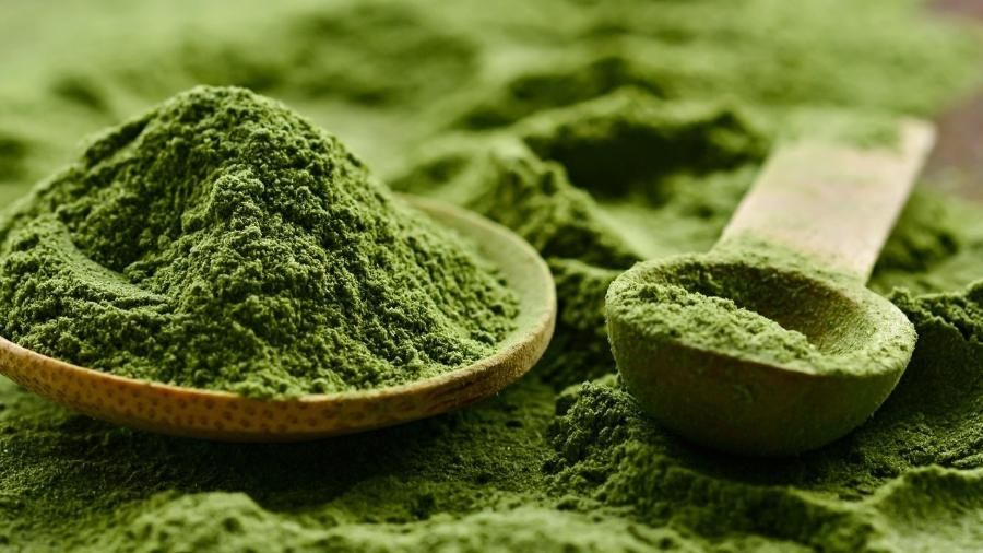 Spirulina (ou espirulina) para alimentação de peixes de aquário