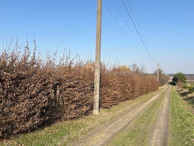 Земельна ділянка Львівська обл., с. Ставчани, вул. І.Франка. 20 соток