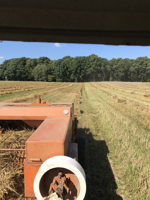 Zboże Siano Słoma w kostkach