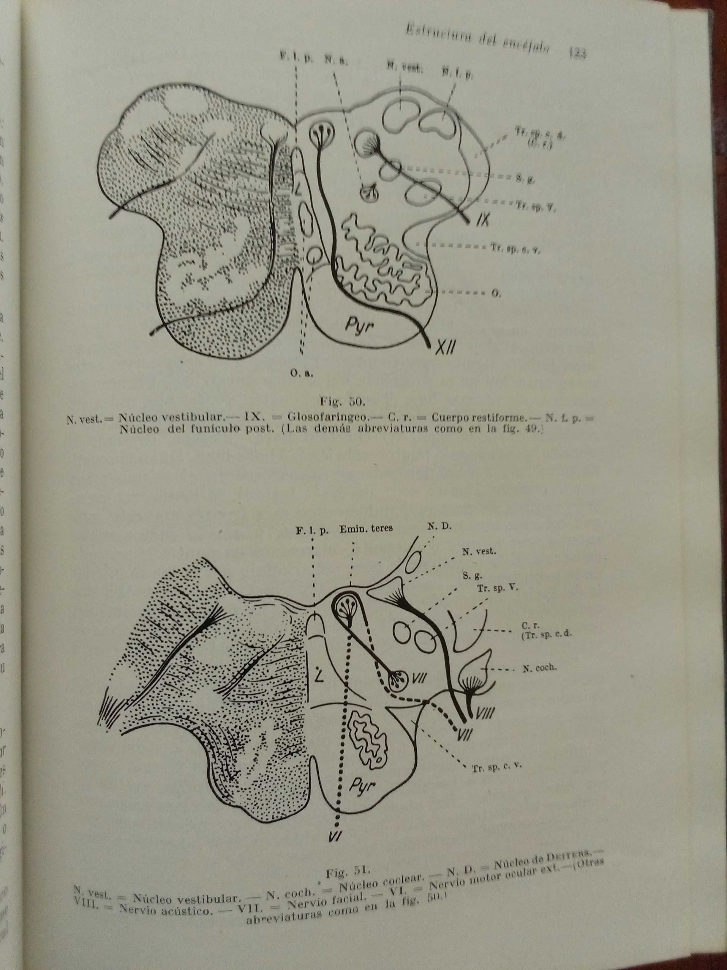 Robert Bing - Manual de diagnostico neurologico