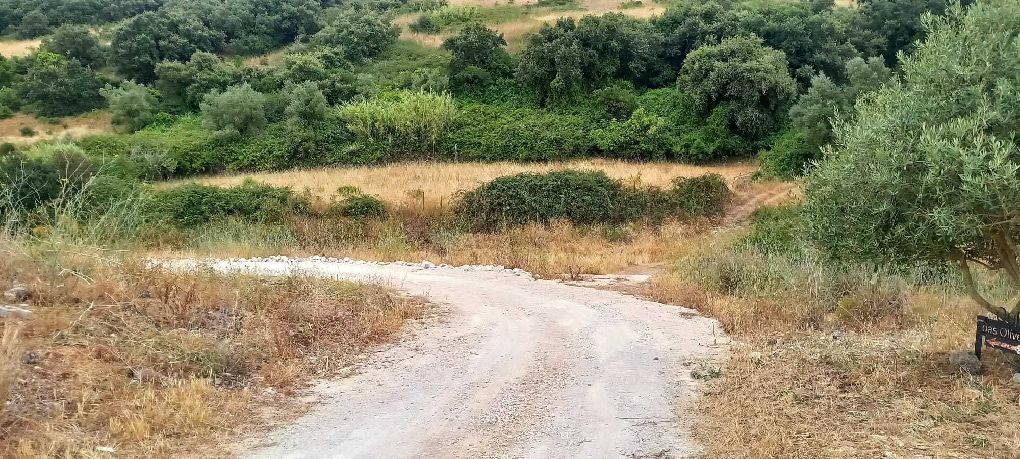 Terreno Incrível de 37.000m² a 15km dos Grandes Centros