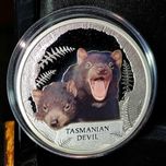 Серебряная монета тасманский дьявол 1 доллар 2013 Тувалу 31,1 грам 999