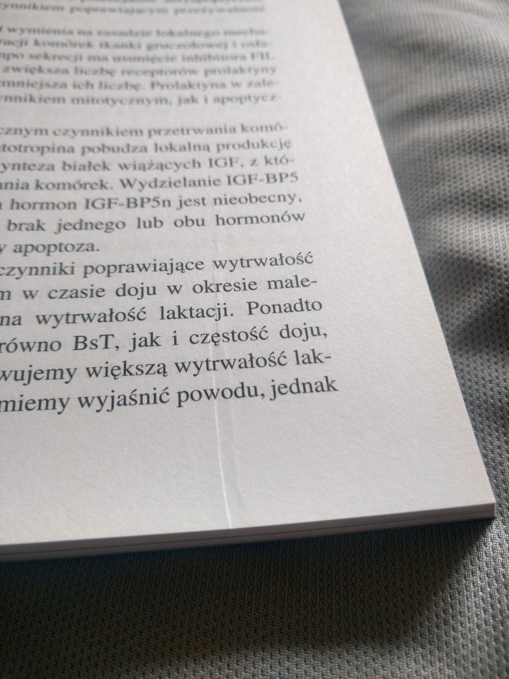 CHÓW BYDŁA MLECZNEGO / Pod redakcją Jana Szarka