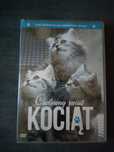 Cudowny świat kociąt DVD