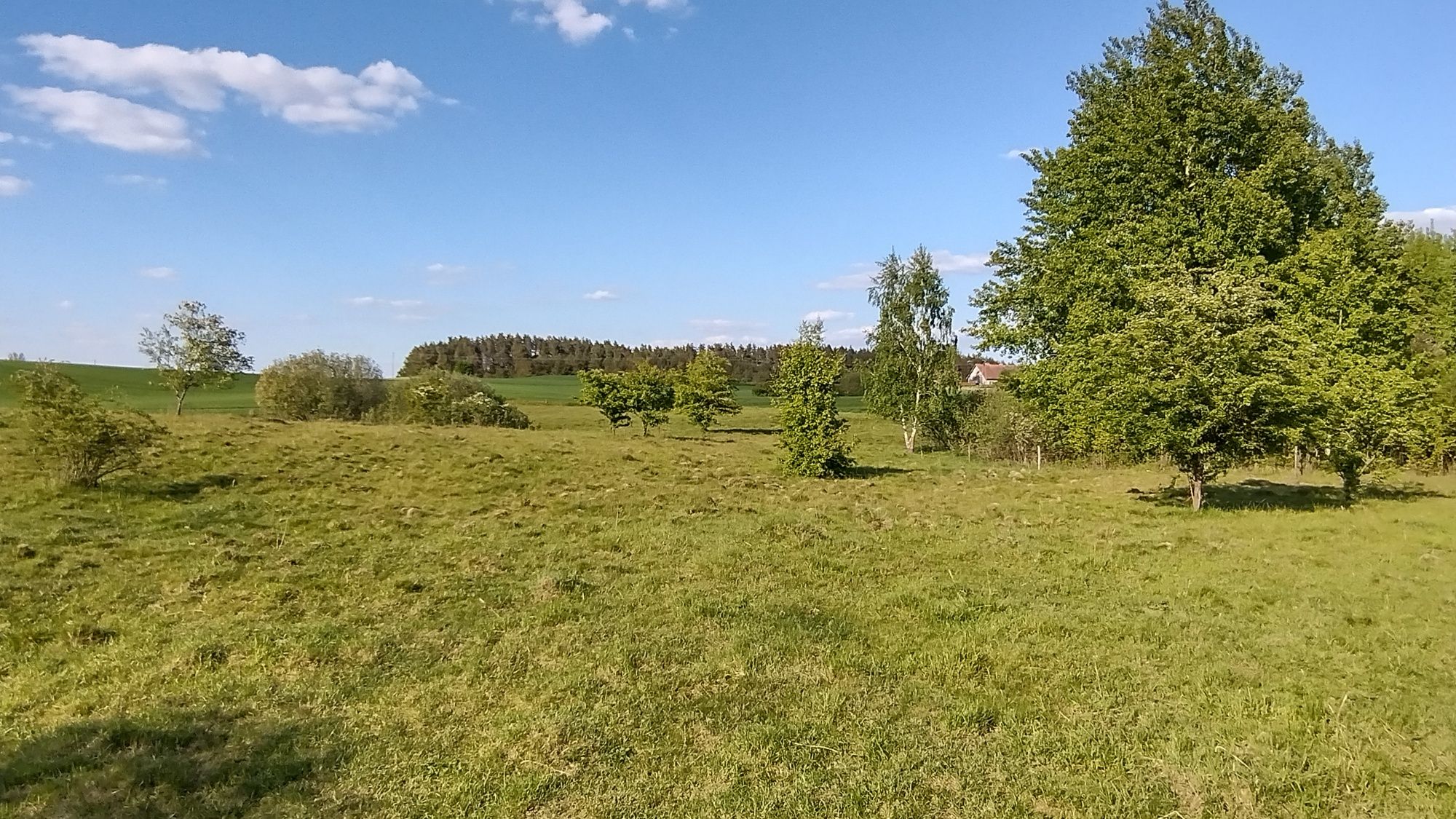 2 działki rekreacyjne w kompleksie działek, Warmia-Mazury