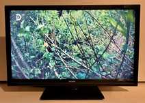 TV PHILIPS LED HD 24 Polegadas