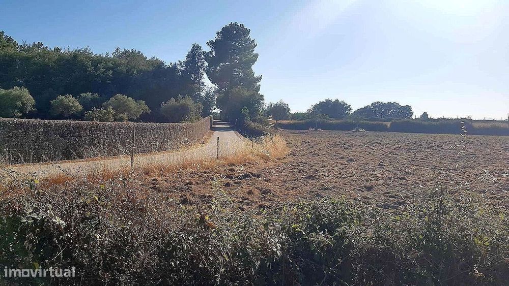Terreno rústico em Lardosa - Castelo Branco