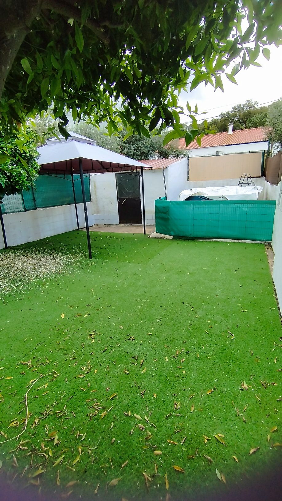Moradia T3 Sabugueiro