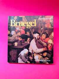 Bruegel - Piero Bianconi
