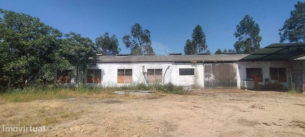 Armazém  para venda