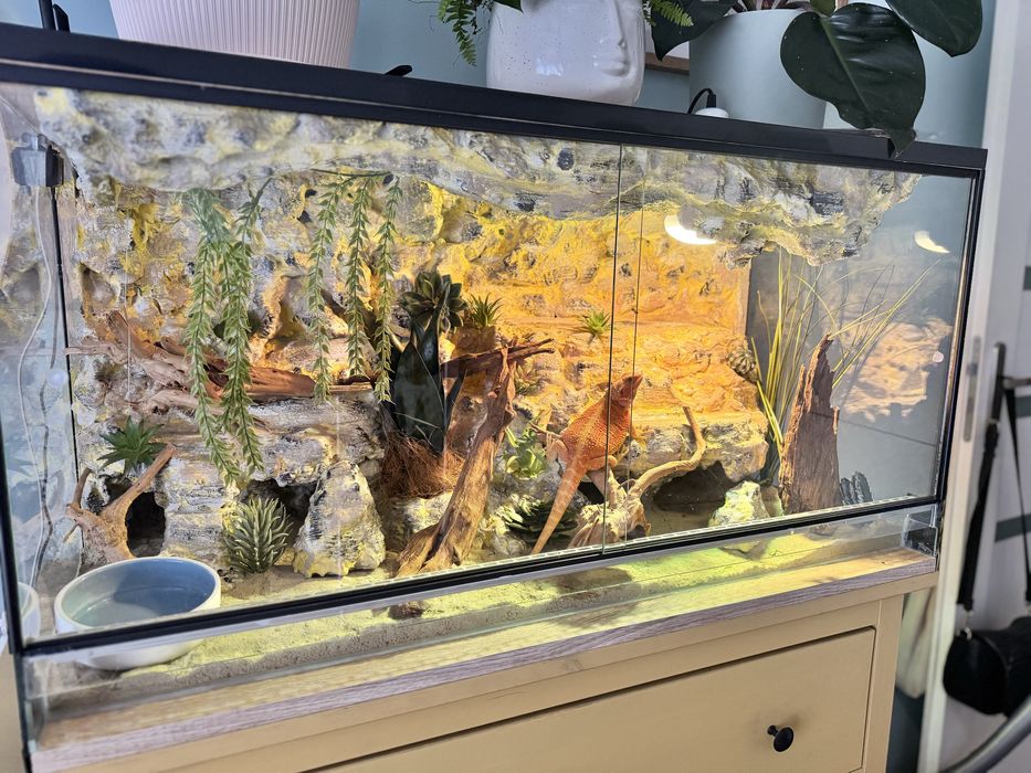 Terrarium tropikalne 40x40x60 idealne dla gekona