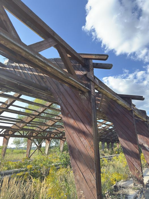 Konstrukcja Hali drewniana