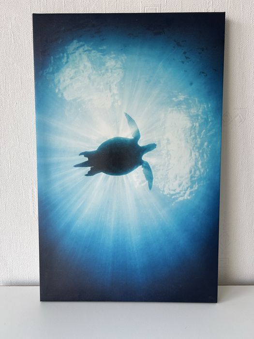 Obraz 57 cm x 36,5 cm