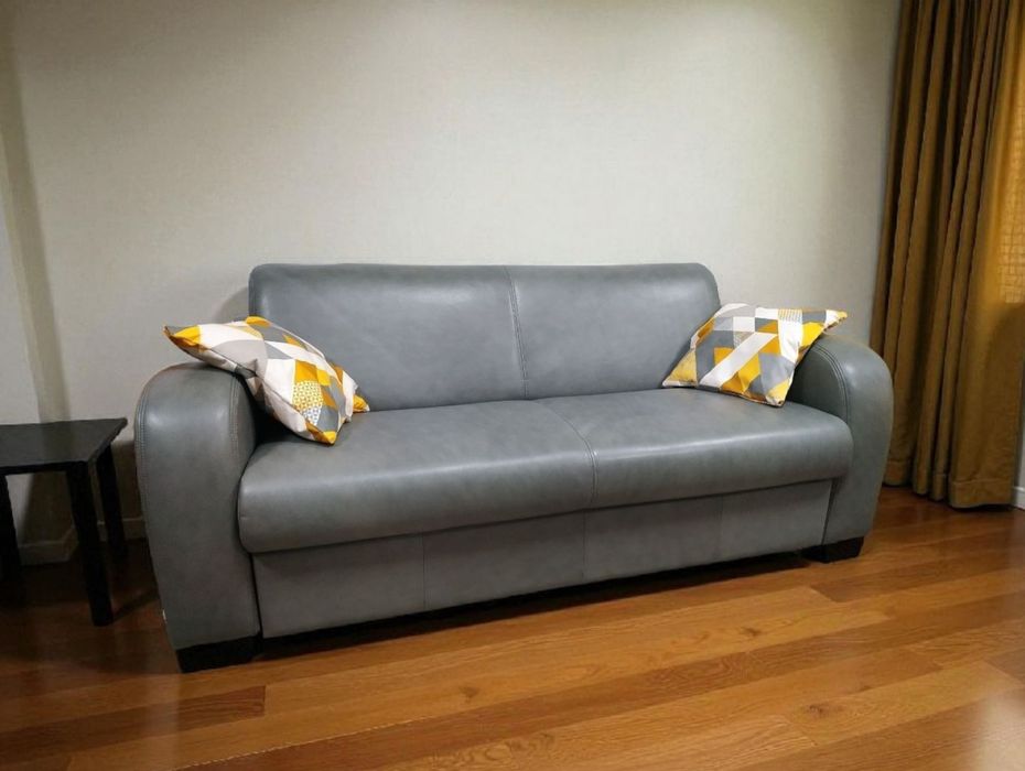 Шкіряний диван розкладний.