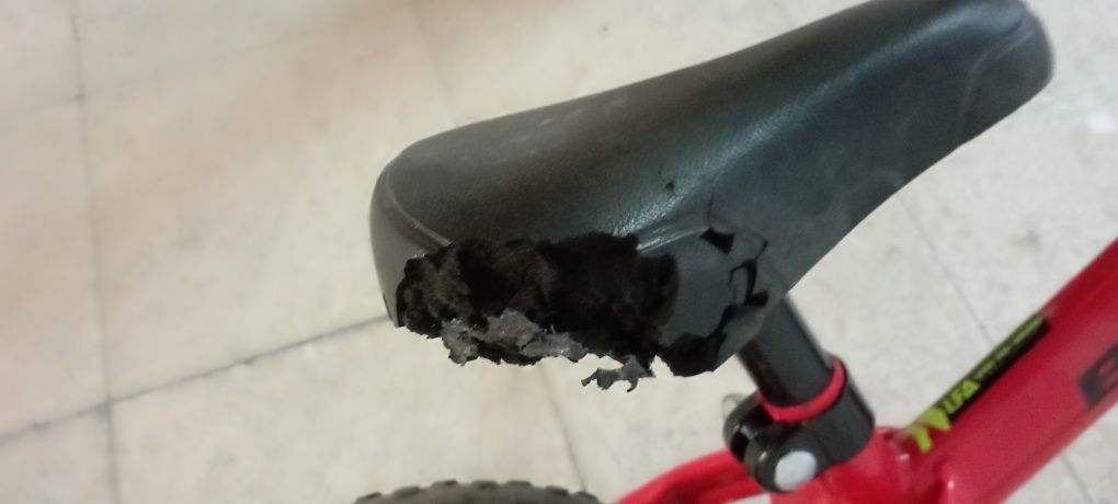 Vendo bicicleta sem pedais para criança