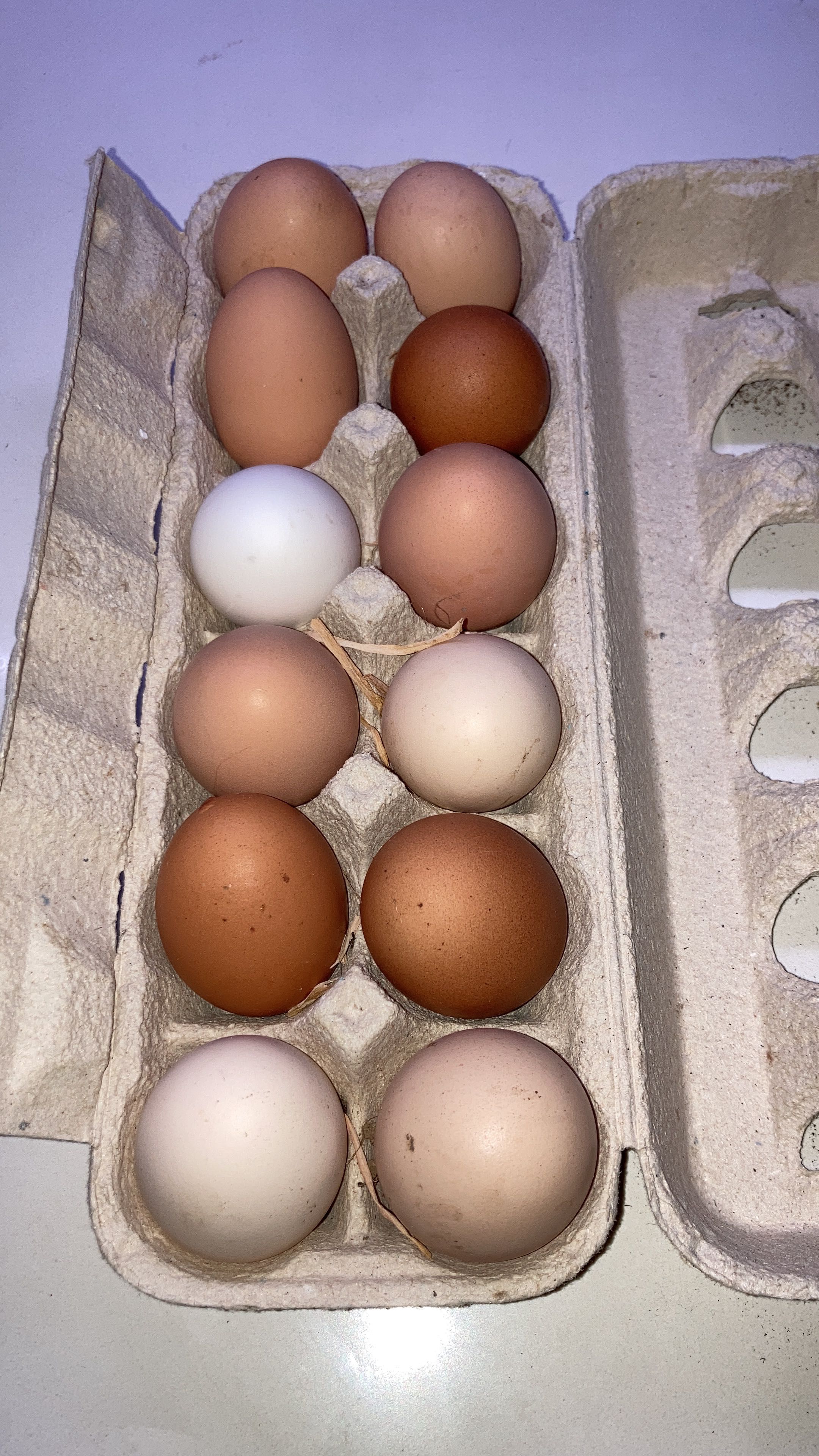Ovos 100% puros e naturais