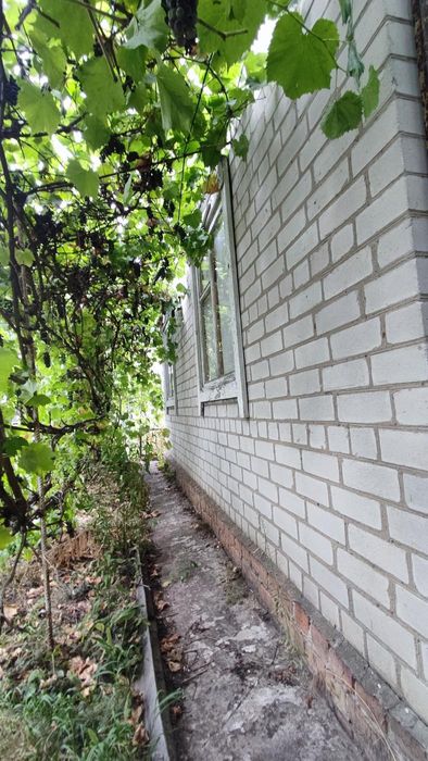 Продам Дачу в Майорке, Волосское, возле р.Днепр