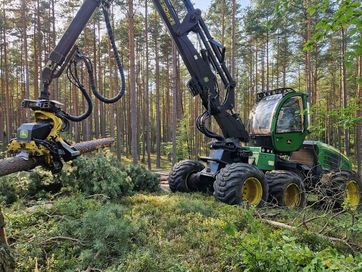 Zrywka i pozyskanie drewna czyszczenie nieużytków