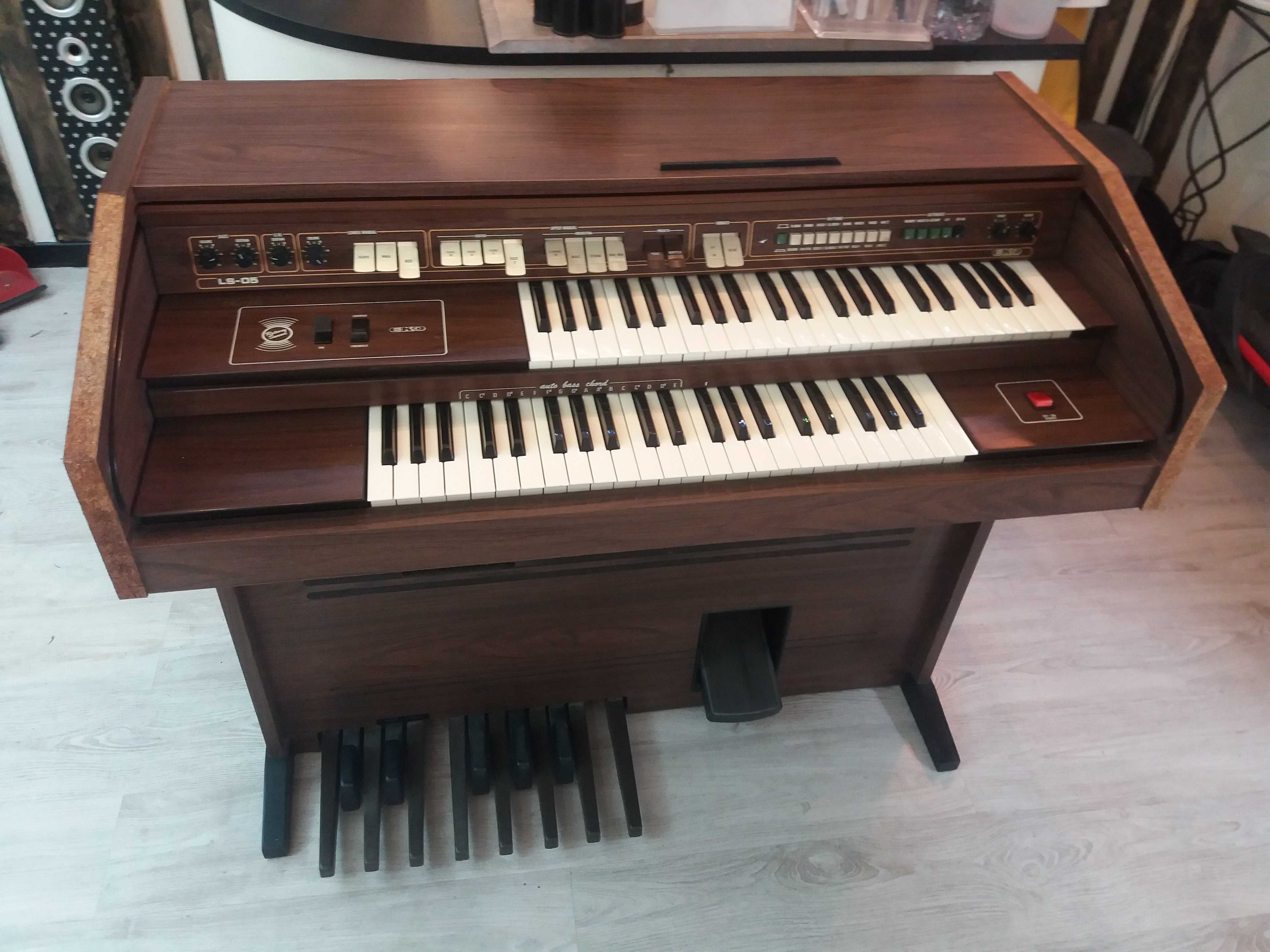 Orgao eko electrico