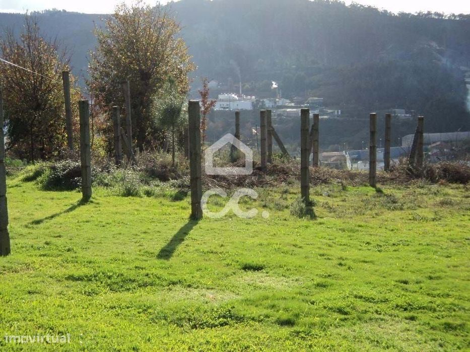 Terreno rústico - Terreno para cultivo
