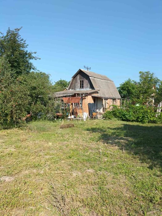 Продам дачний будинок с.Сальник