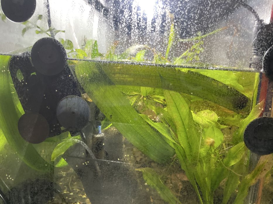 akwarium 120l z rybkami i akcesoriami