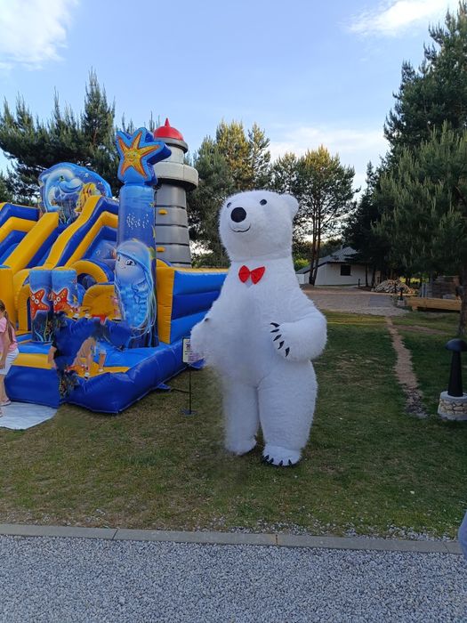 Biały miś na imprezę