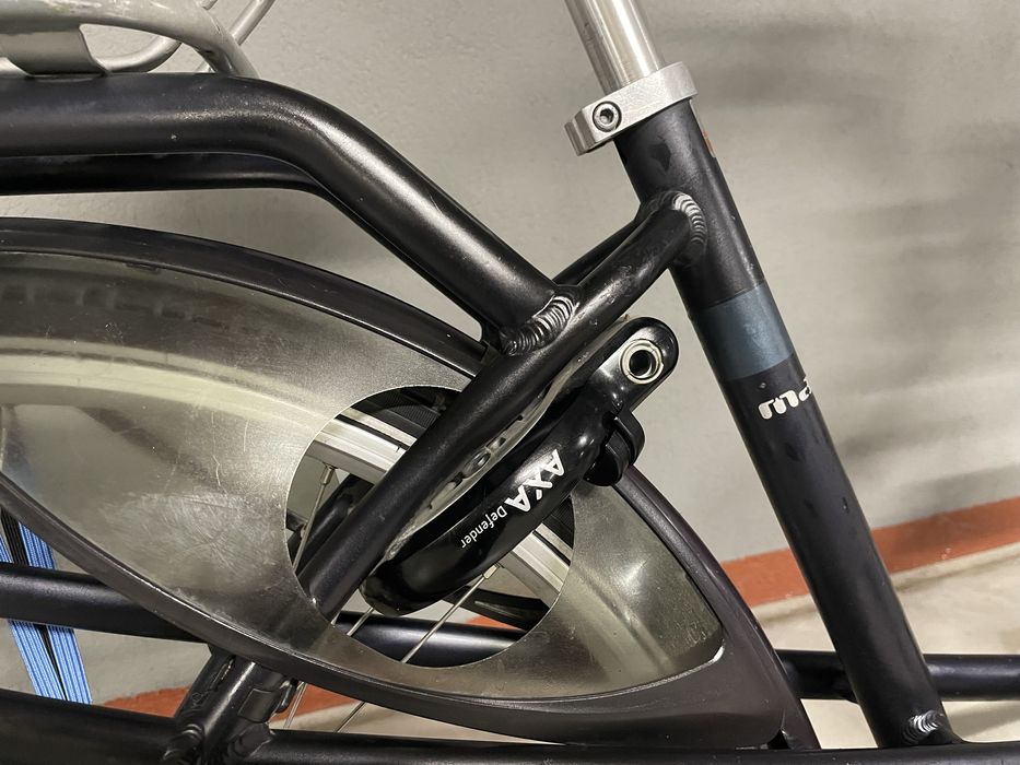 Batavus Mambo 7 rama 50 (160-170cm)