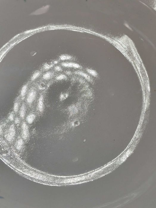 Złocone talerze obiadowe płaskie oraz głębokie - 8 + 9 sztuk - Colditz